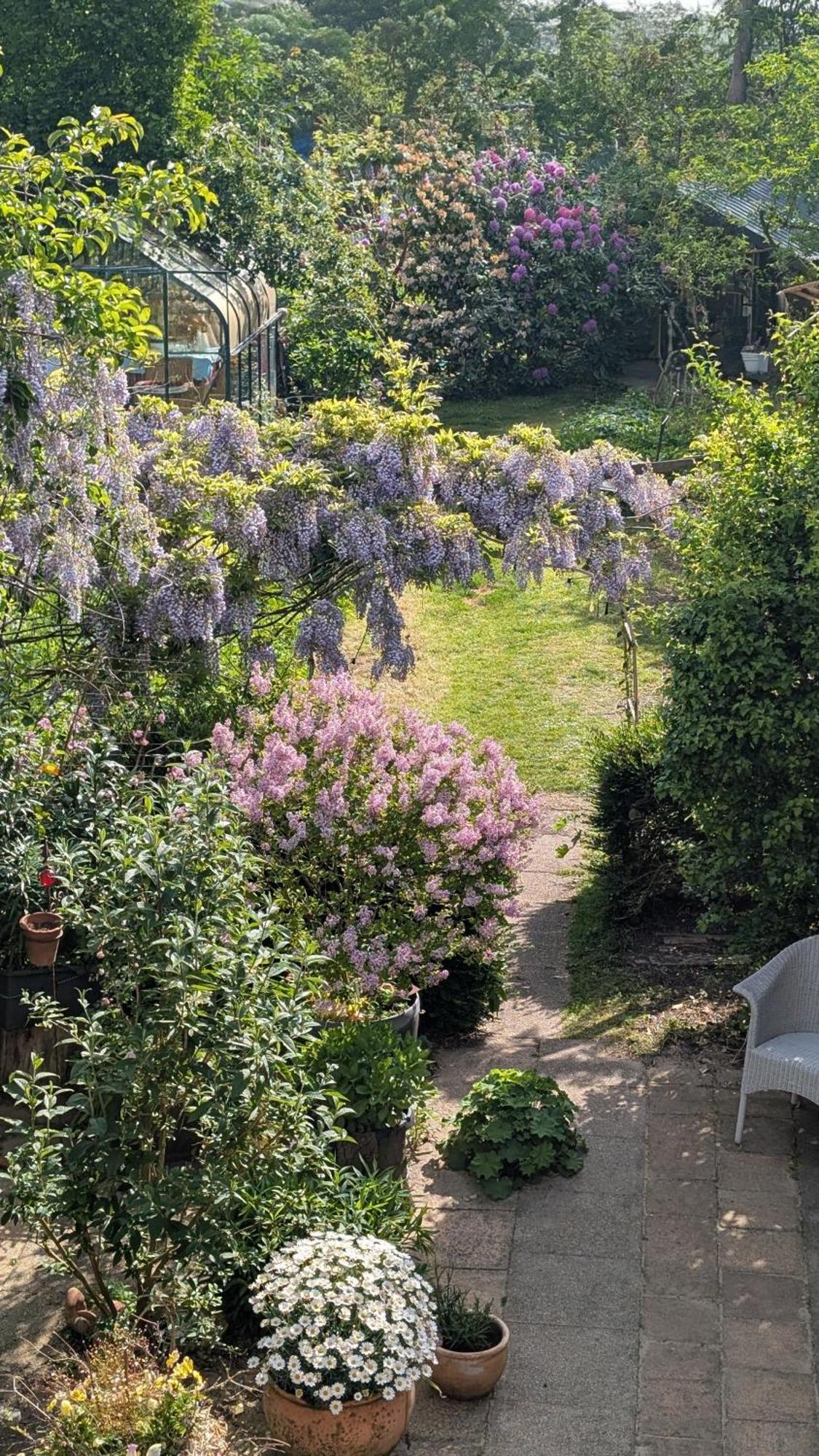 Zimmer Mit Gartenblick シュレースヴィヒ エクステリア 写真